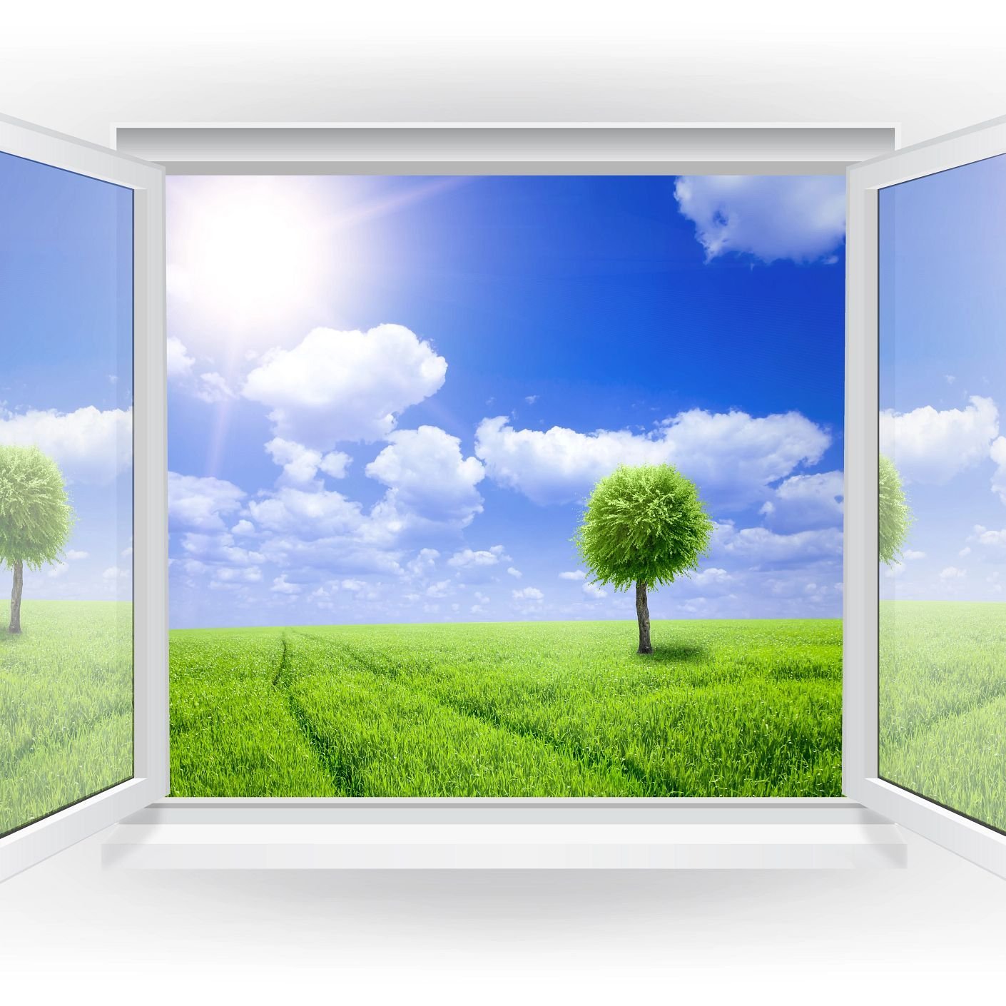 beautiful view from window on a green tree and grass with a blue sky - Carpet On Wheels in the Jamesburg, NJ area